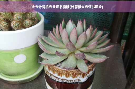 大专计算机专业证书模版(计算机大专证书图片)