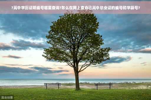 ?高中学历证明编号哪里查询?怎么在网上查自己高中毕业证的编号和学籍号?