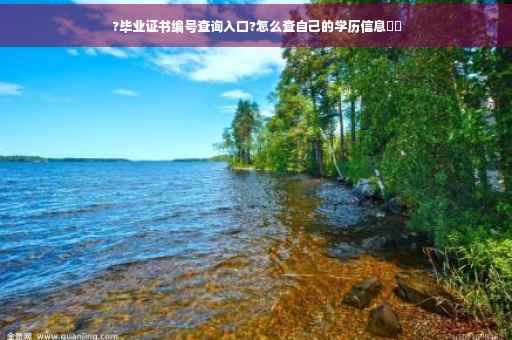 ?毕业证书编号查询入口?怎么查自己的学历信息⚡️