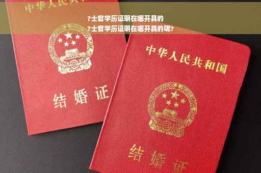 ?士官学历证明在哪开具的
?士官学历证明在哪开具的呢?