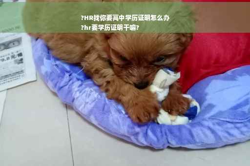 ?HR找你要高中学历证明怎么办
?hr要学历证明干嘛?