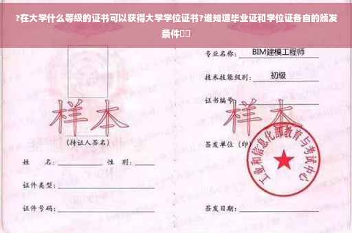 ?在大学什么等级的证书可以获得大学学位证书?谁知道毕业证和学位证各自的颁发条件⚡️