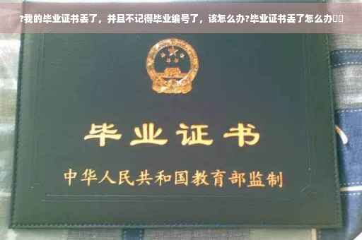 ?我的毕业证书丢了，并且不记得毕业编号了，该怎么办?毕业证书丢了怎么办⚡️