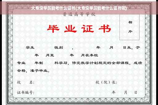 大专没学历能考什么证书(大专没学历能考什么证书呢)