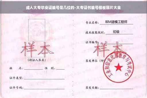 成人大专毕业证编号是几位的-大专证书编号模板图片大全