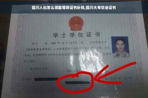 铜川人社怎么领取等级证书补贴,铜川大专毕业证书