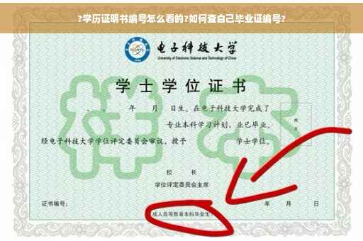 ?学历证明书编号怎么看的?如何查自己毕业证编号?