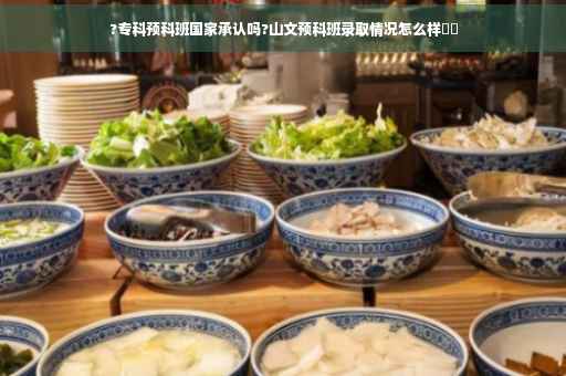 ?专科预科班国家承认吗?山文预科班录取情况怎么样⚡️