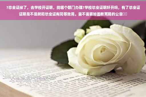 ?毕业证掉了，去学校开证明，找哪个部门办理?学校毕业证明好开吗，有了毕业证证明是不是就和毕业证有同等效用。需不需要加盖教育局的公章⚡️