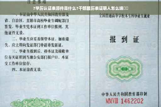 ?学历认证表原件是什么?干部履历表证明人怎么填⚡️