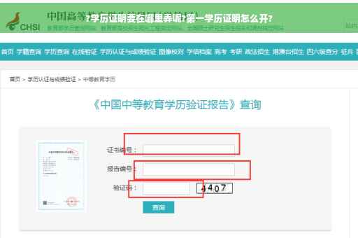 ?学历证明要在哪里弄呢?第一学历证明怎么开?