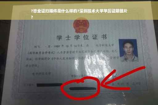 ?毕业证扫描件是什么样的?深圳技术大学学历证明图片
?