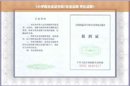 ?小学有毕业证书吗?毕业证明 学历证明?