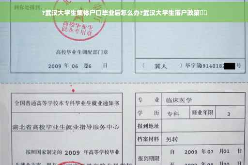 ?武汉大学生集体户口毕业后怎么办?武汉大学生落户政策⚡️