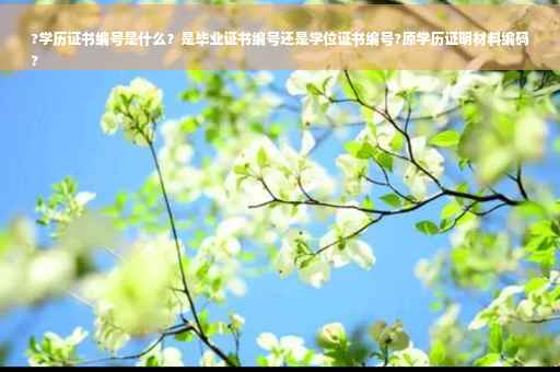 ?学历证书编号是什么？是毕业证书编号还是学位证书编号?原学历证明材料编码
?