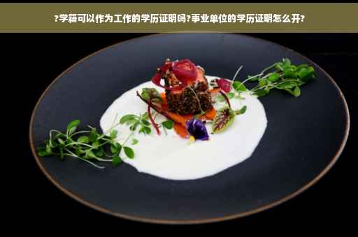 ?学籍可以作为工作的学历证明吗?事业单位的学历证明怎么开?