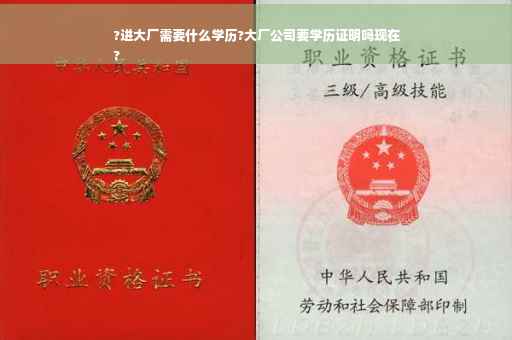 ?进大厂需要什么学历?大厂公司要学历证明吗现在
?
