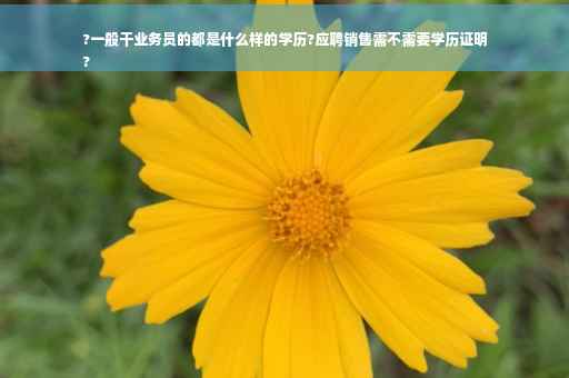 ?一般干业务员的都是什么样的学历?应聘销售需不需要学历证明
?