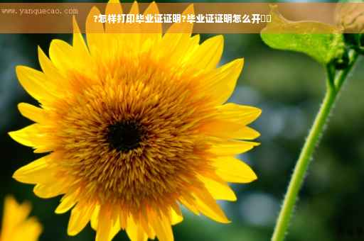 ?怎样打印毕业证证明?毕业证证明怎么开⚡️