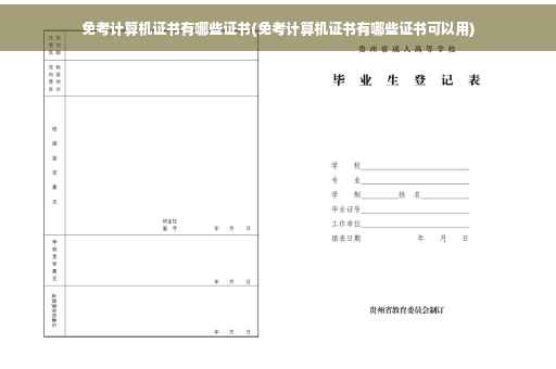 免考计算机证书有哪些证书(免考计算机证书有哪些证书可以用)