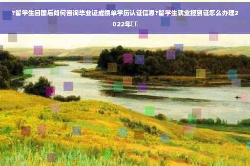 ?留学生回国后如何咨询毕业证成绩单学历认证信息?留学生就业报到证怎么办理2022年⚡️