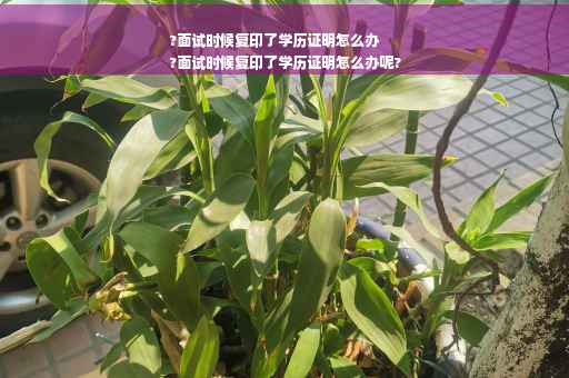 ?面试时候复印了学历证明怎么办
?面试时候复印了学历证明怎么办呢?