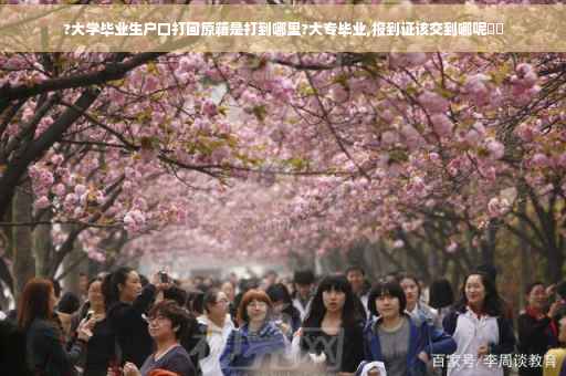 ?大学毕业生户口打回原籍是打到哪里?大专毕业,报到证该交到哪呢⚡️