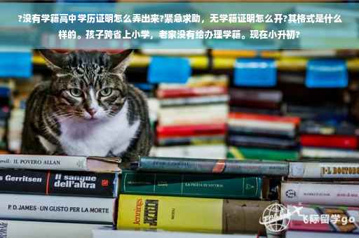 ?没有学籍高中学历证明怎么弄出来?紧急求助，无学籍证明怎么开?其格式是什么样的。孩子跨省上小学，老家没有给办理学籍。现在小升初?
