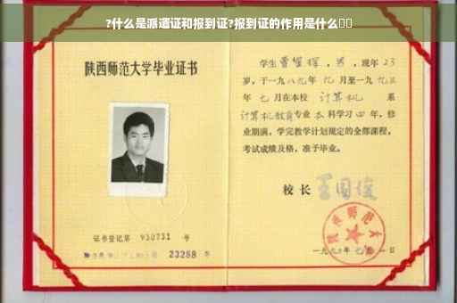 ?什么是派遣证和报到证?报到证的作用是什么⚡️