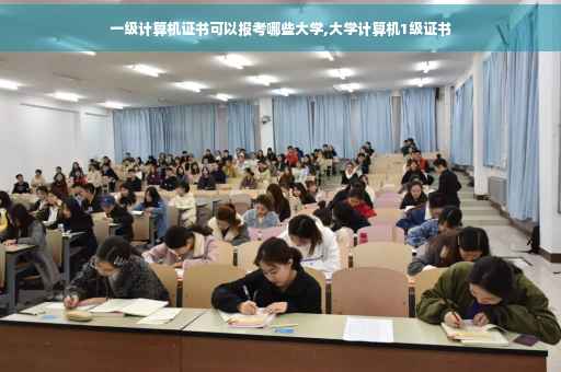 一级计算机证书可以报考哪些大学,大学计算机1级证书
