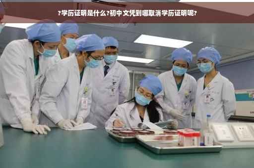 ?学历证明是什么?初中文凭到哪取消学历证明呢?