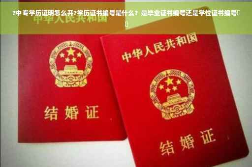 ?中专学历证明怎么开?学历证书编号是什么？是毕业证书编号还是学位证书编号⚡️