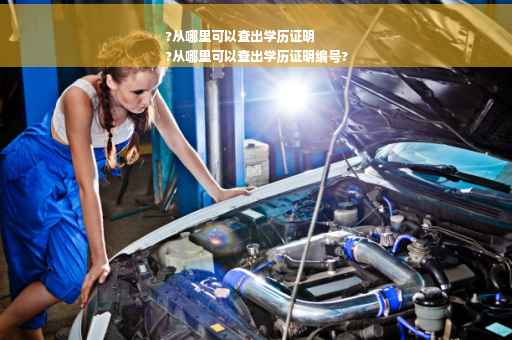 ?从哪里可以查出学历证明
?从哪里可以查出学历证明编号?