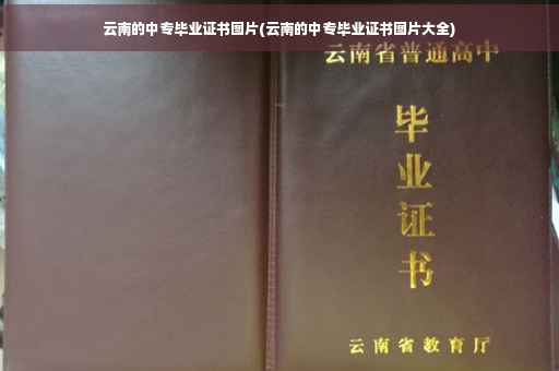 云南的中专毕业证书图片(云南的中专毕业证书图片大全)
