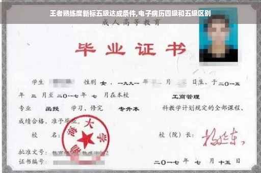 王者熟练度新标五级达成条件,电子病历四级和五级区别