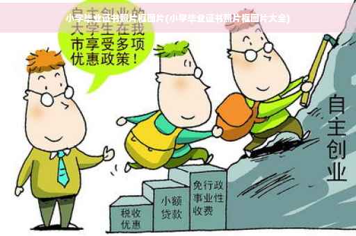 小学毕业证书照片框图片(小学毕业证书照片框图片大全)