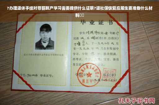 ?办理退休手续对带薪脱产学习需要提供什么证明?退社保恢复应届生要准备什么材料⚡️