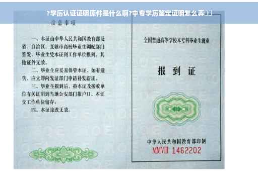 ?学历认证证明原件是什么啊?中专学历鉴定证明怎么弄⚡️