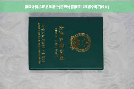 初级计算机证书是哪个(初级计算机证书是哪个部门颁发)