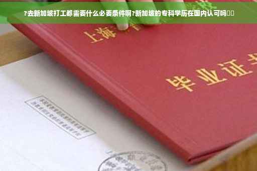 ?去新加坡打工都需要什么必要条件啊?新加坡的专科学历在国内认可吗⚡️