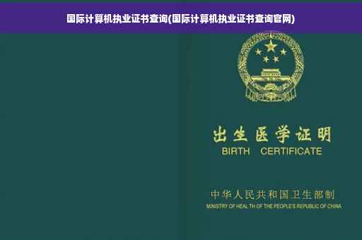 国际计算机执业证书查询(国际计算机执业证书查询官网)