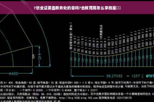 ?毕业证要盖教务处的章吗?去教育局怎么拿档案⚡️