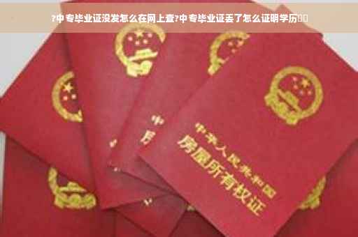 ?中专毕业证没发怎么在网上查?中专毕业证丢了怎么证明学历⚡️
