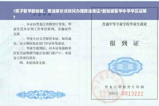 ?孩子留学新加坡，陪读家长该如何办理陪读准证?新加坡留学中学学历证明
?