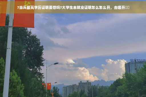 ?当兵最高学历证明要带吗?大学生未就业证明怎么怎么开，去哪开⚡️