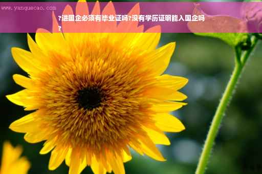 ?进国企必须有毕业证吗?没有学历证明能入国企吗
?