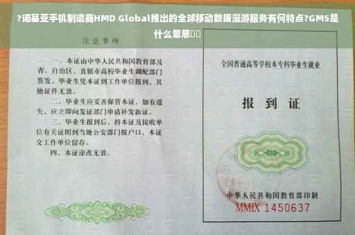 ?诺基亚手机制造商HMD Global推出的全球移动数据漫游服务有何特点?GMS是什么意思⚡️