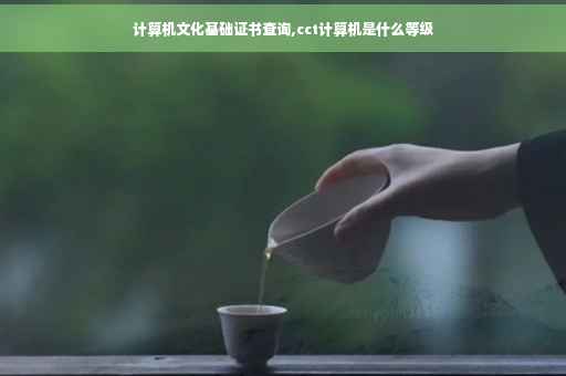 计算机文化基础证书查询,cct计算机是什么等级