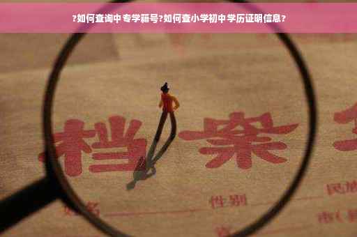 ?如何查询中专学籍号?如何查小学初中学历证明信息?