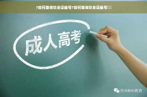 ?如何查询毕业证编号?如何查询毕业证编号⚡️